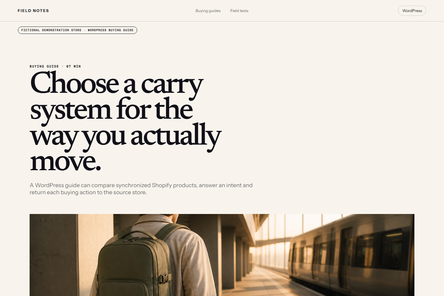 WordPress buying guide. Guides can compare products and answer search intent without becoming the checkout system.